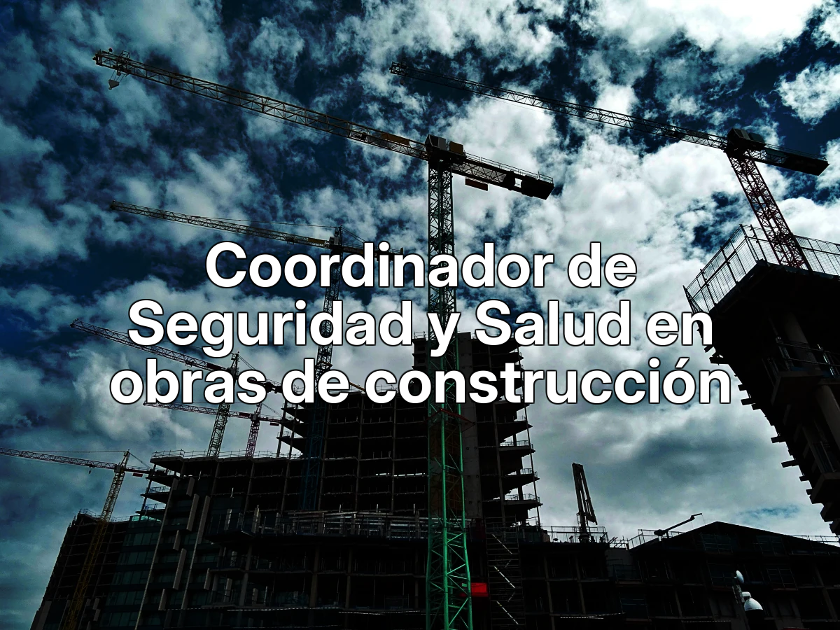 Coordinador de Seguridad y Salud en obras de construcción
